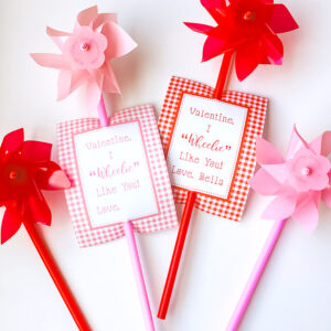 Pinwheel Valentine Kit